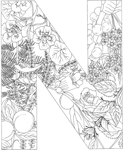 Letter N With Plants Coloring Page